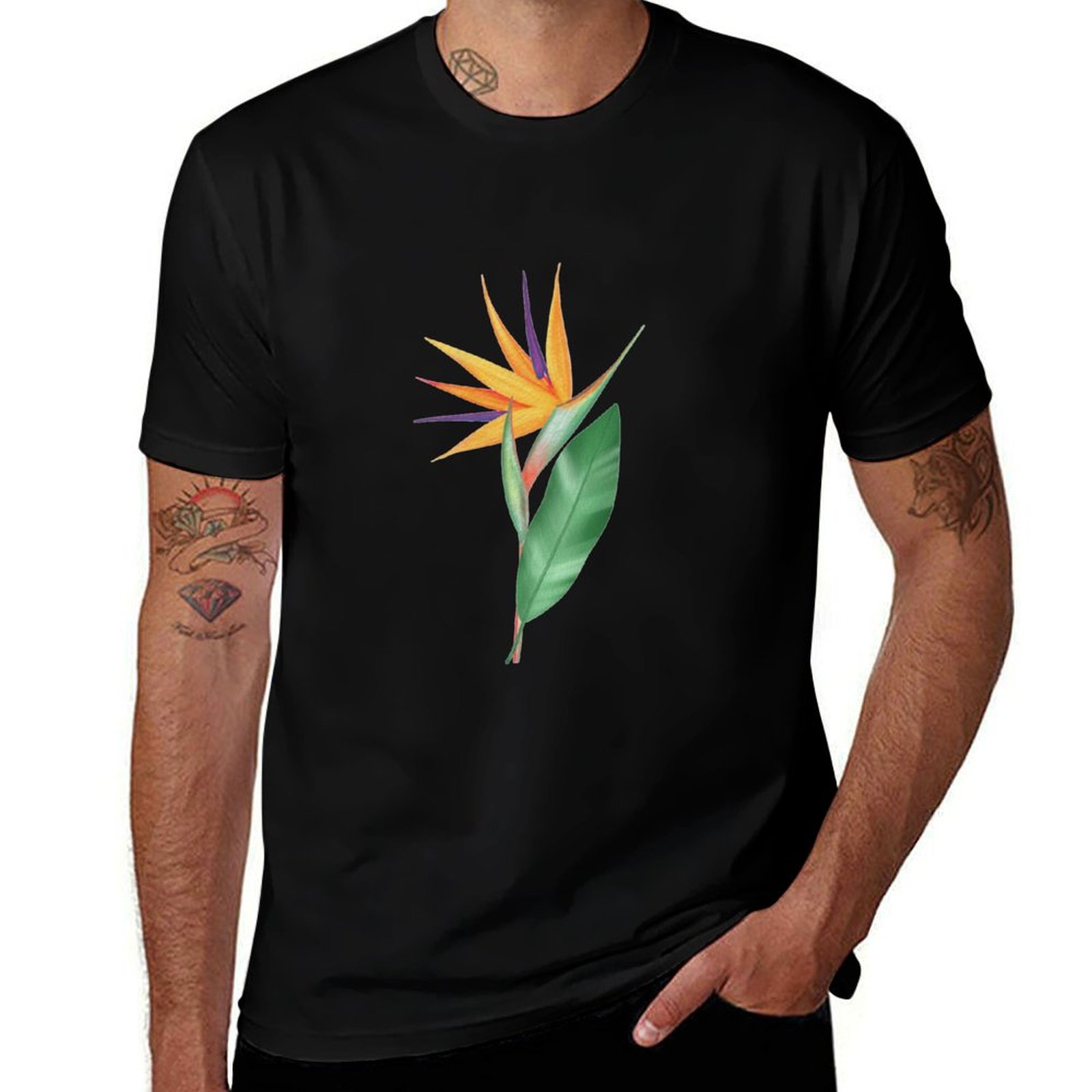 Watercolor bird of paradise fl - Bird Paradise Strelitzia incelemesi ve fiyatı