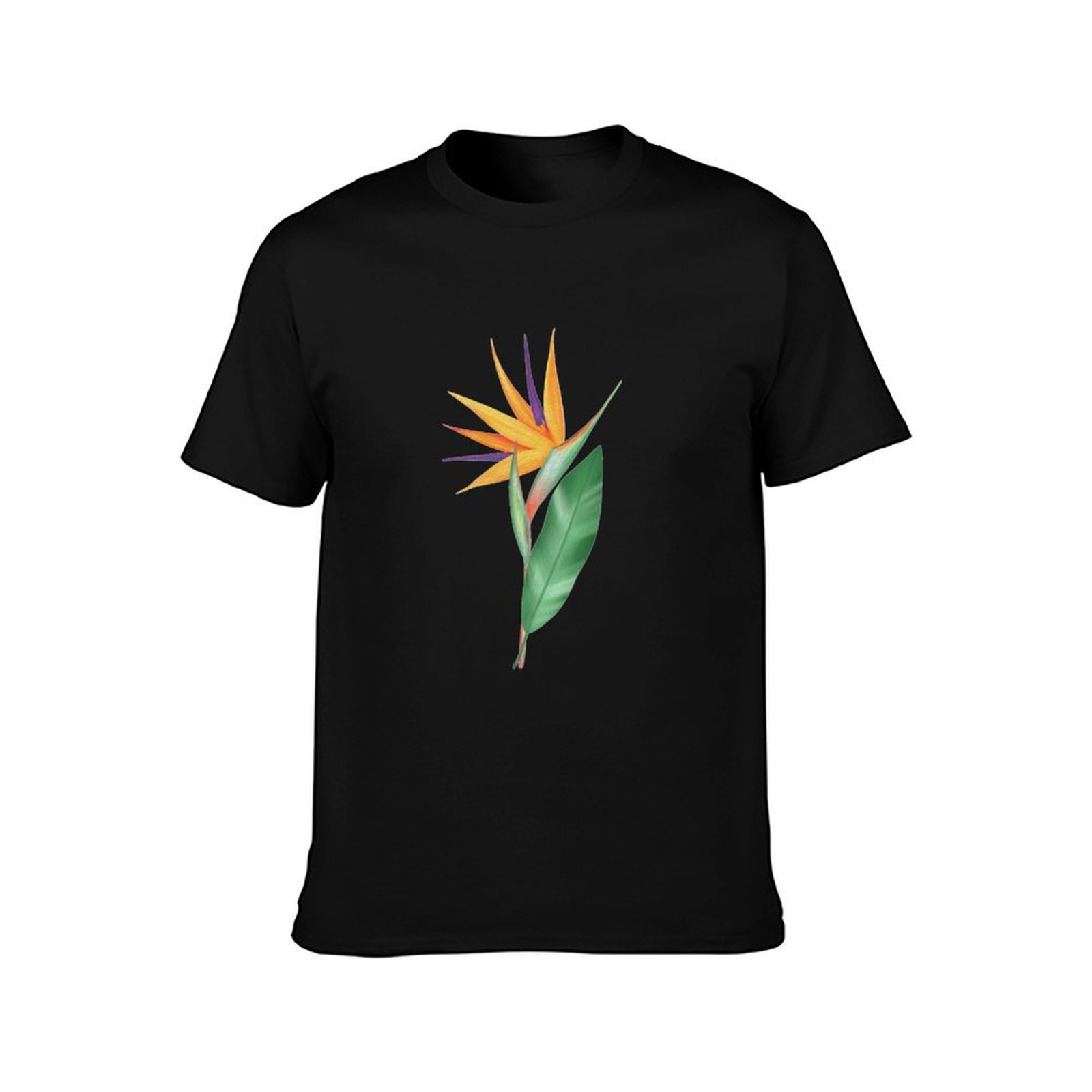 Watercolor bird of paradise fl - Bird Paradise Strelitzia incelemesi ve fiyatı