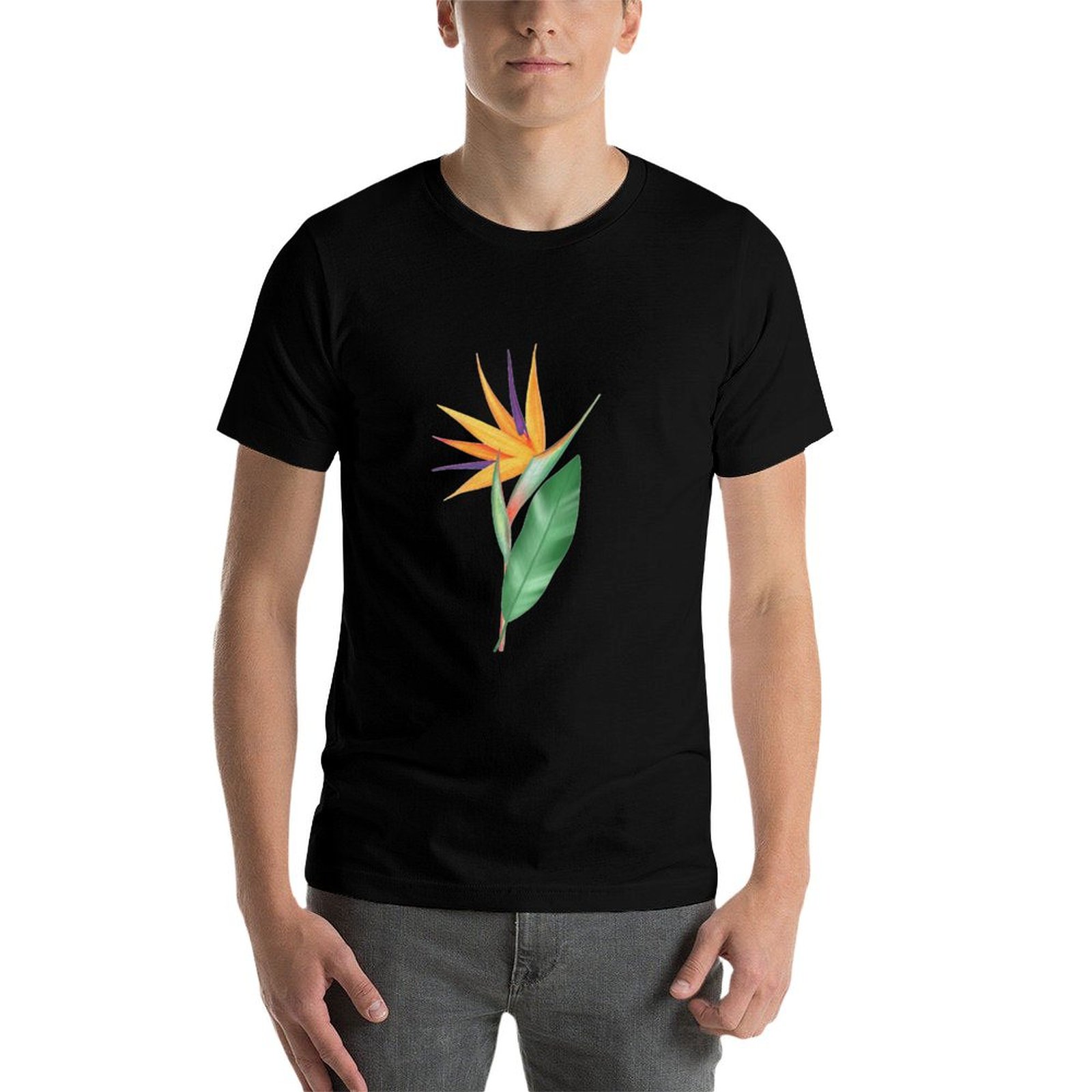 Watercolor bird of paradise fl - Bird Paradise Strelitzia incelemesi ve fiyatı