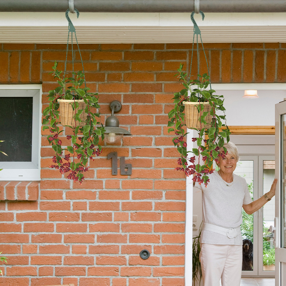 5Pcs Hanging Planter Hooks Ver - Spider Plant Hanging incelemesi ve fiyatı